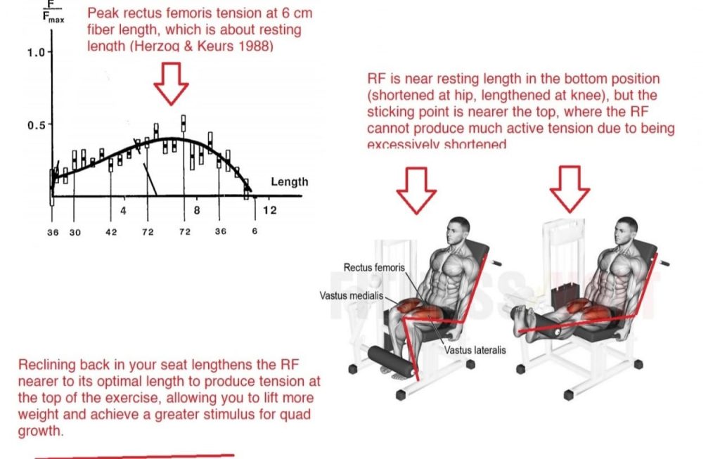 Leg extensions